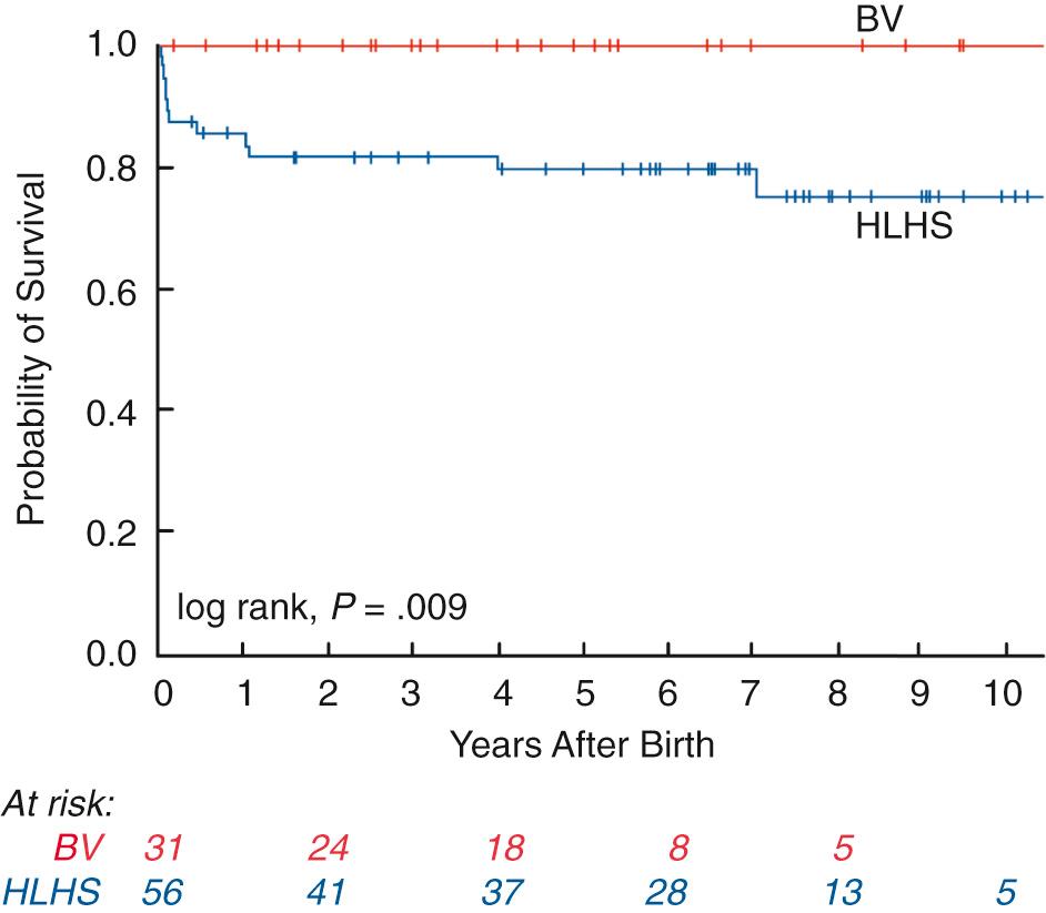 Fig. 10.7, Kaplan-Meier curve depicting cardiac mortality between hypoplastic left heart syndrome (HLHS) and biventricular (BV) outcome groups based on the initial postnatal management strategy.