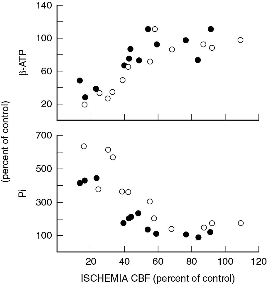 Fig. 2.3, Newborn piglets underwent brain ischemia (x axis, ischemia CBF expressed as a percent of control blood flow) and the effects on cerebral concentrations of β-ATP (top panel) and Pi (inorganic phosphorus, bottom panel) are plotted for hyperglycemic and hypoglycemic conditions (solid and open symbols, respectively). Animals that were hypoglycemic did not maintain ATP concentrations as well as animals with high blood glucose concentrations. Pi, a breakdown product of ATP, showed an inverse relationship to ATP.
