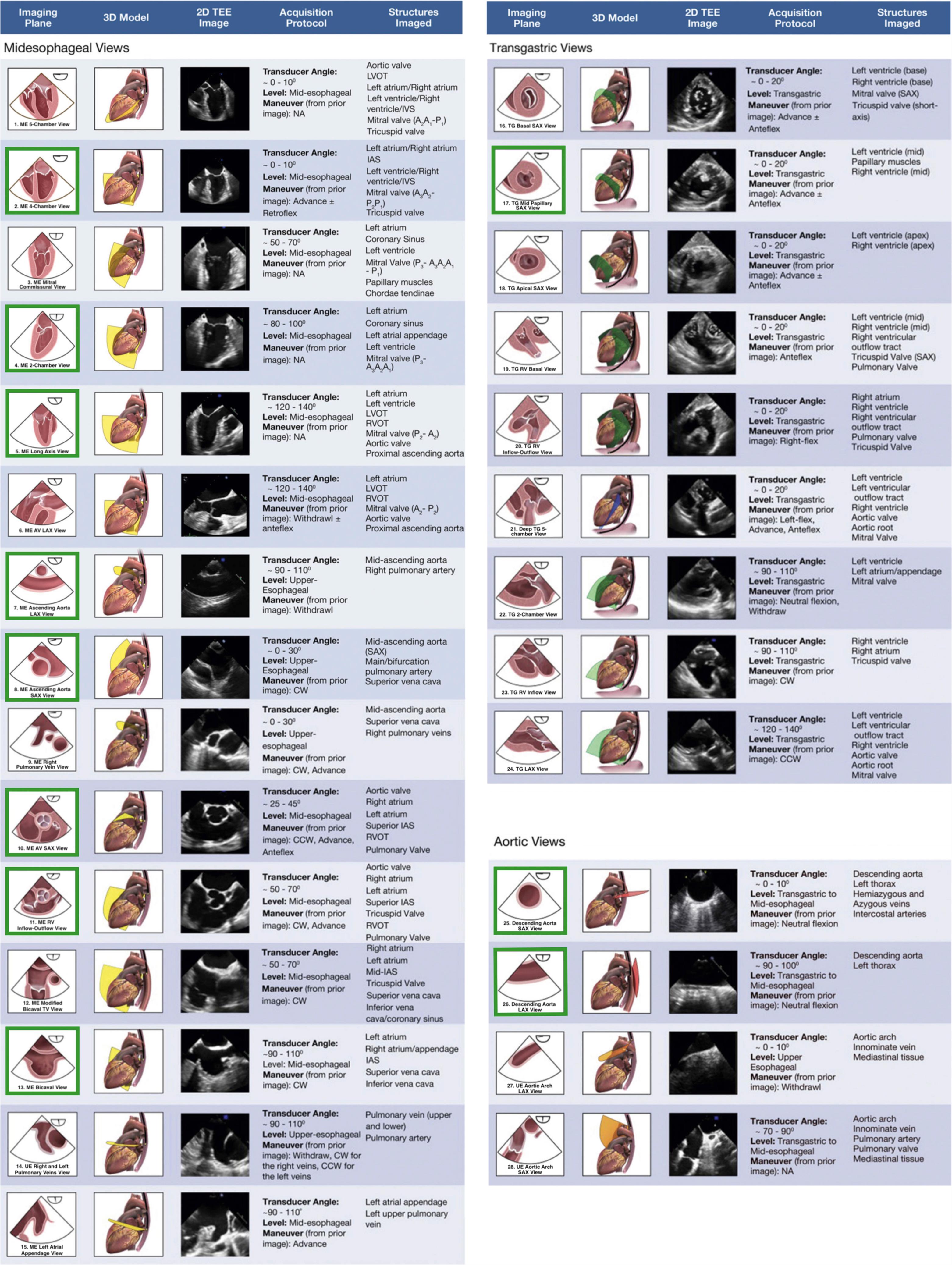 Fig. 37.6, The 28 suggested views of the comprehensive transesophageal echocardiographic (TEE) examination. Each view is shown as a 3D image, the corresponding imaging plane, and a 2D image. The acquisition protocol and the structures imaged in each view are listed in the subsequent columns. The green boxes indicate the 11 views of the basic TEE examination.