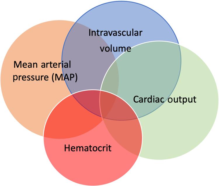 Fig. 16.1, Key components of goal directed hemodynamic therapy.