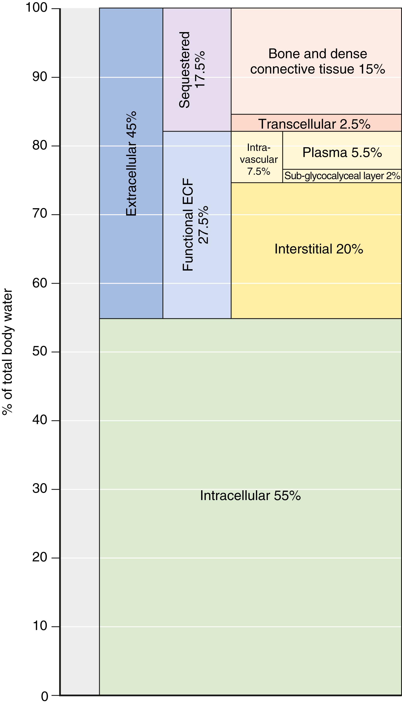 Fig. 47.1, Distribution of total body water between fluid compartments.