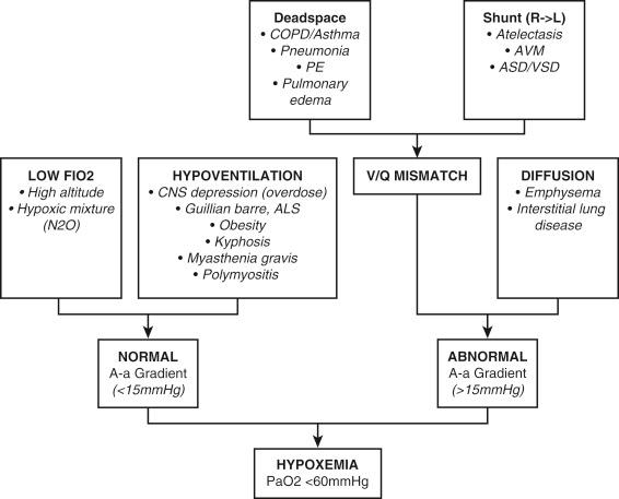 Fig. 159.2, Causes of hypoxemia.