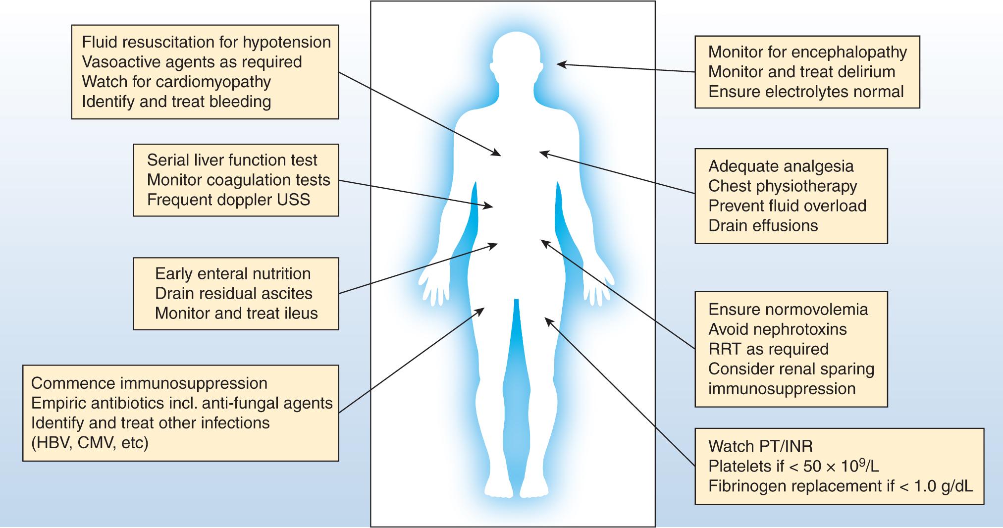 Fig. 146.1, Systematic approach to critical care after liver transplant.