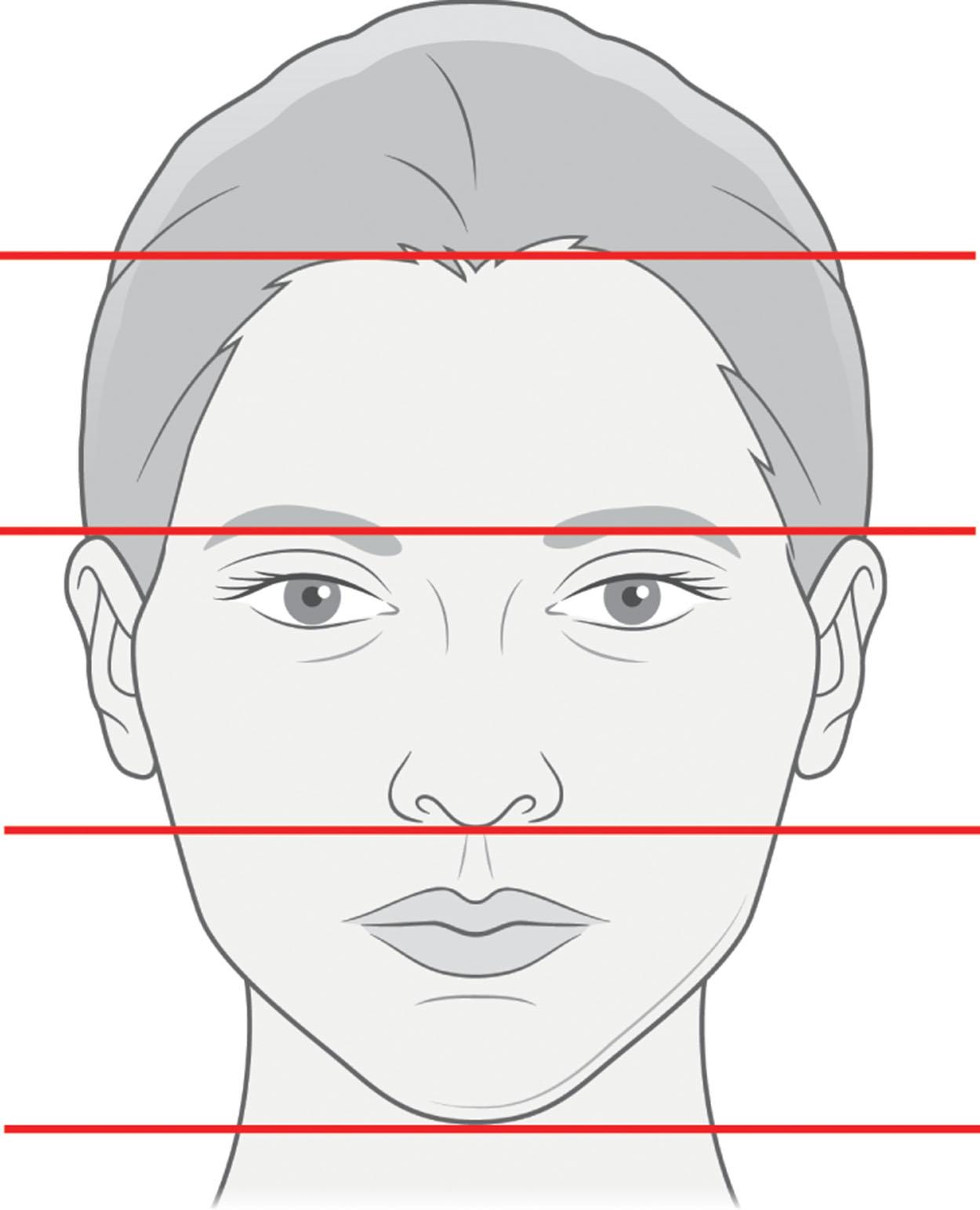 Figure 9.13.2, Four imaginary lines passing horizontally through the face.