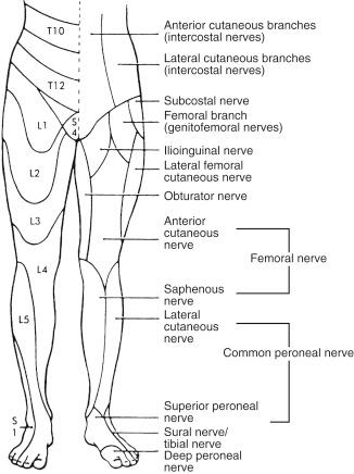 Fig. 162.2, Segmental and peripheral nerve distributions can help distinguish central from peripheral nerve injury.