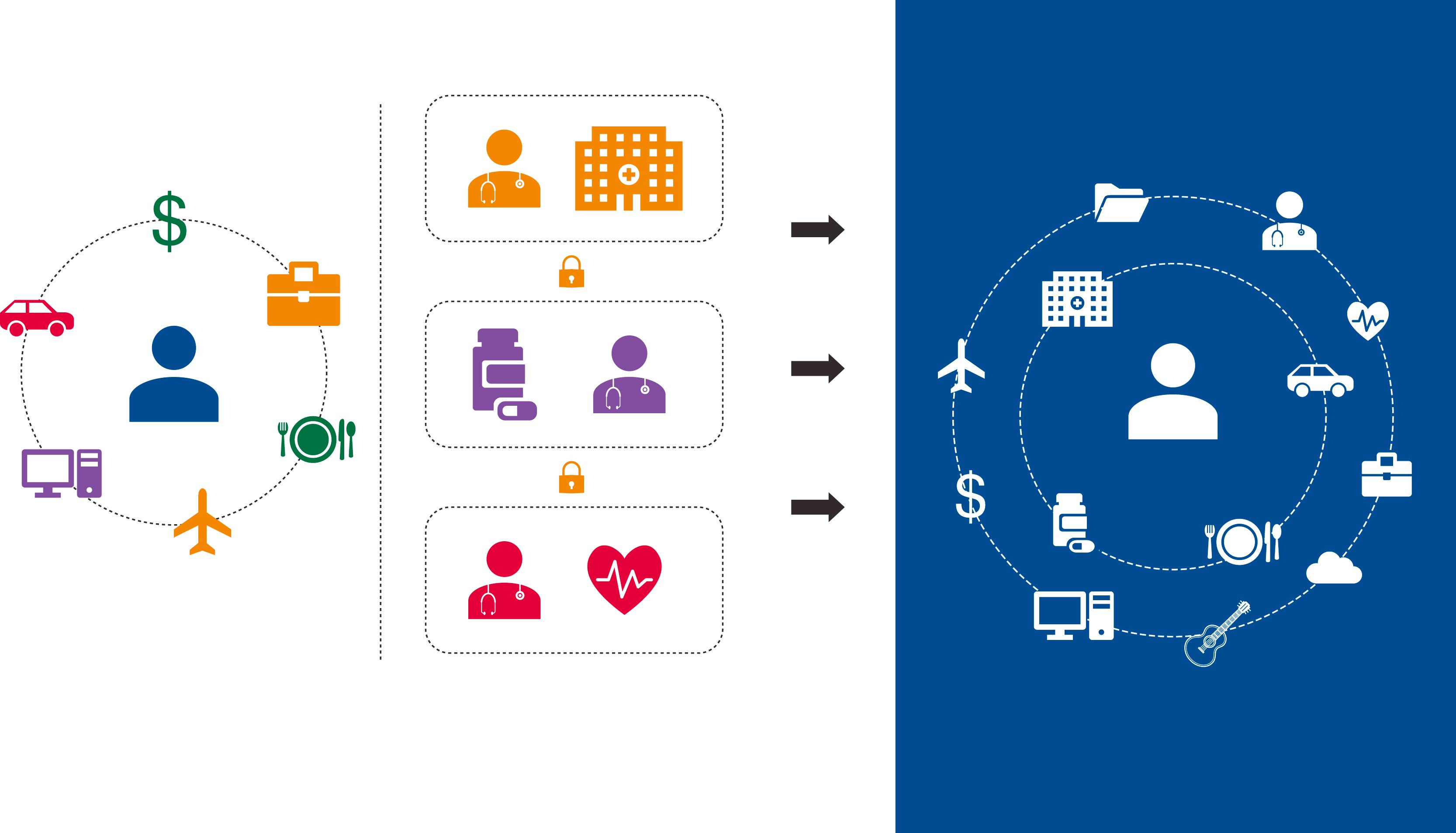 Fig. 63.2, Software and services provide personalization and integration.