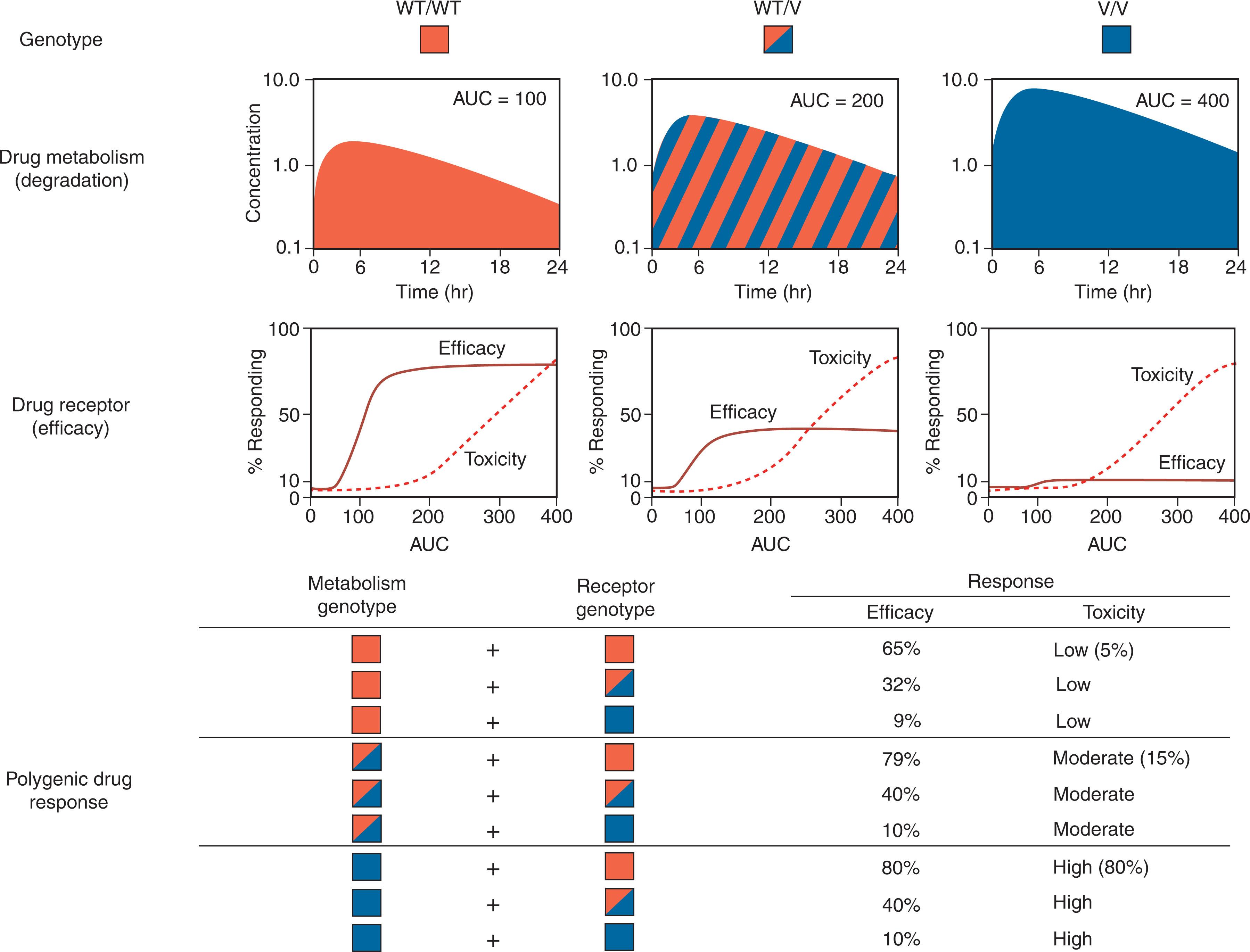 Figure 8.1, POLYGENIC DETERMINANTS OF DRUG RESPONSE.