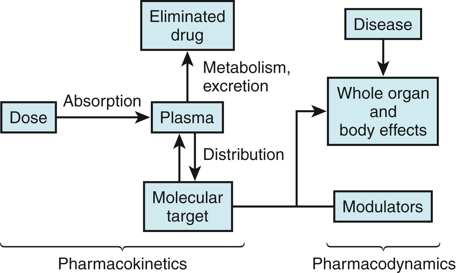 Fig. 53.1, Mechanisms modulating drug actions.