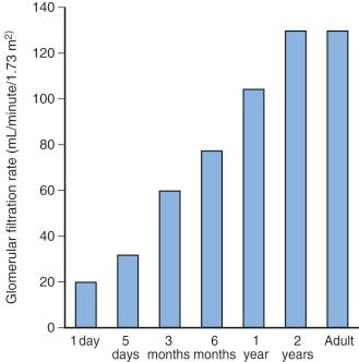 FIGURE 7.12, Changes in glomerular filtration rate versus age. Note the rapid development of glomerular function during the first year of life. Abnormal or immature renal function may delay drug excretion.