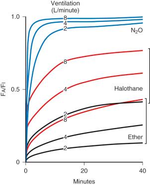 E-FIGURE 7.5, Effect of alveolar ventilation on the wash-in (F a /F i ) of more soluble (i.e., halothane) and less soluble (i.e., N 2 O) anesthetics. Changes in ventilation speed the wash-in of more soluble anesthetics to a greater extent than do changes in ventilation for less soluble anesthetics. F a , fractional alveolar partial pressure of anesthetic; F i , fractional inspired partial pressure of anesthetic; N 2 O, nitrous oxide.