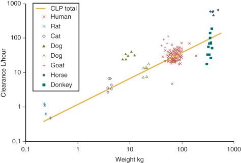 FIGURE 7.4, Weight-predicted tramadol total clearance (CLP total) compared with human allometric prediction (solid line) using a -power exponent (solid line).