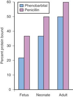 E-FIGURE 7.1, Altered protein binding may affect the clinical response to any medication; note the much lower protein binding of phenobarbital and penicillin in the neonate and fetus compared with the adult. This reduced protein binding may partially account for the prolonged pharmacologic effects of barbiturates in neonates, because more unbound drug is able to be pharmacologically active.