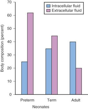 FIGURE 7.8, Changes in the intracellular and extracellular compartments that occur with maturation. Note the large proportion of extracellular water in preterm and term infants. This large water compartment creates an increased volume of distribution for highly water-soluble medications (e.g., succinylcholine, gentamicin) and may account for the large (by weight) loading dose required for some medications to achieve a satisfactory clinical response.