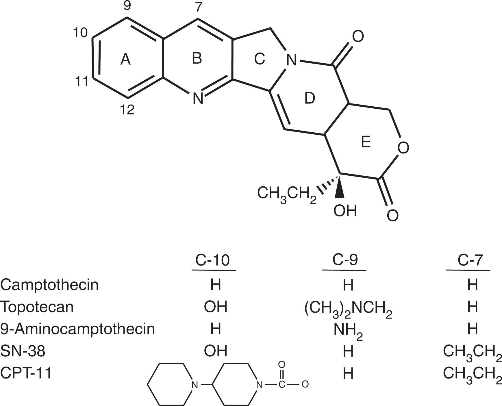 Figure 58.5, STRUCTURE OF CAMPTOTHECIN ANALOGS.