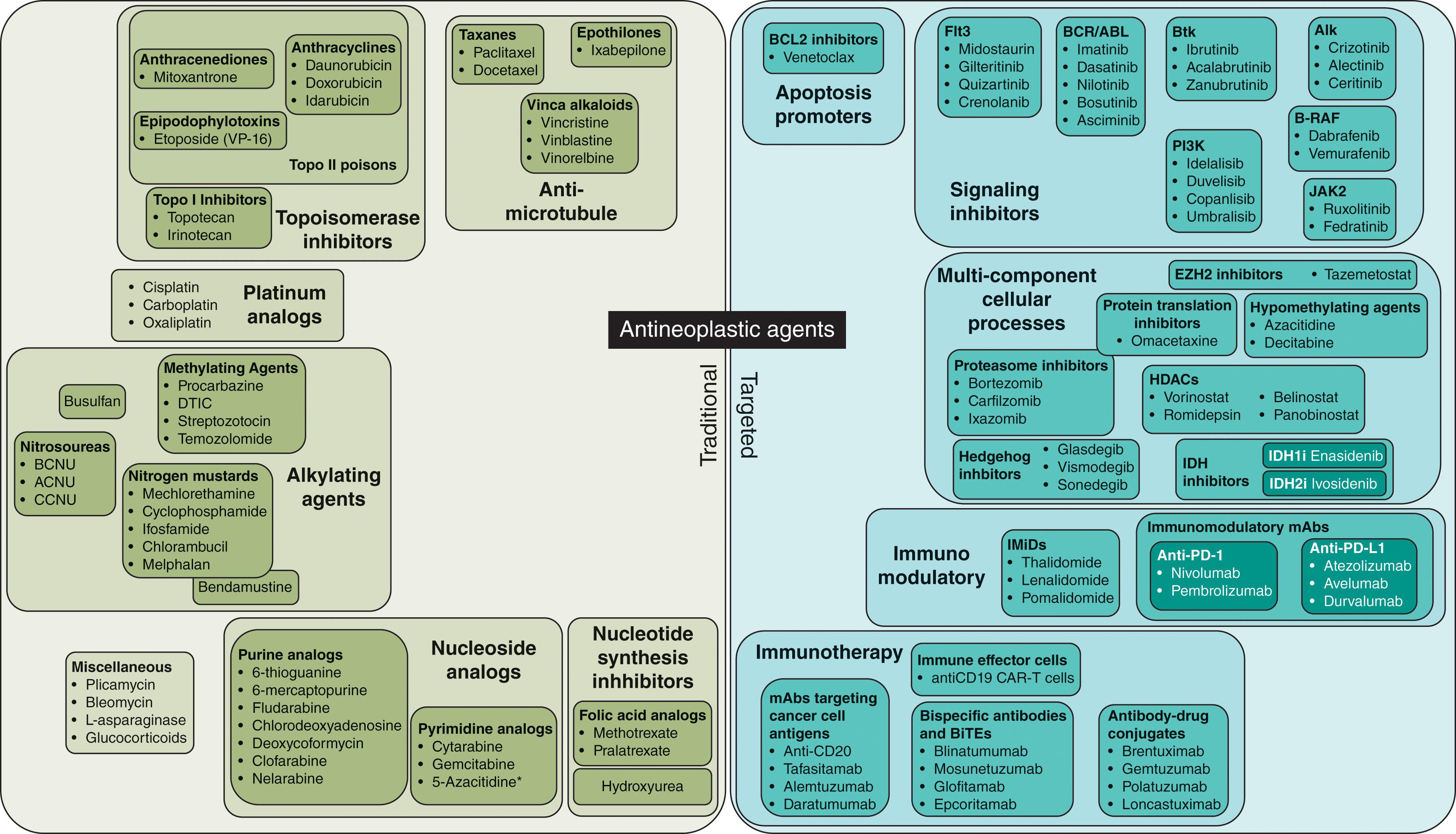 Figure 58.6, SCHEMATIC REPRESENTATION OF THE THERAPEUTIC ARMAMENTARIUM IN MALIGNANT HEMATOLOGY.