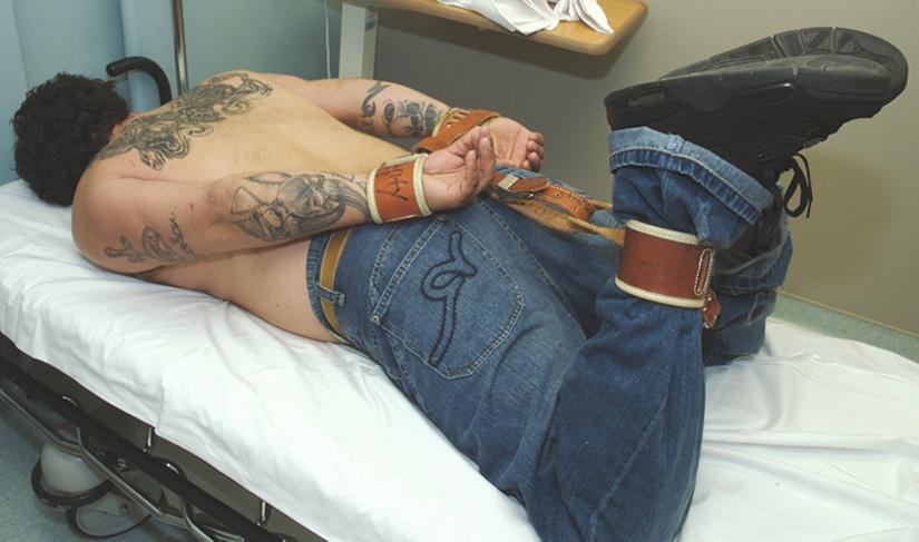 Figure 69.7, Not to be used: The “hog-tie” method of restraint. The combination of prone positioning, hobble leg restraints, and binding a patient's hands behind the back is commonly referred to as a hog tie. Although this was a common method of restraining prisoners and violent psychiatric patients in the past, the hog tie is no longer recommended. The exact physiologic and metabolic derangements from this position by itself are probably minimal, but the practice is strongly discouraged.