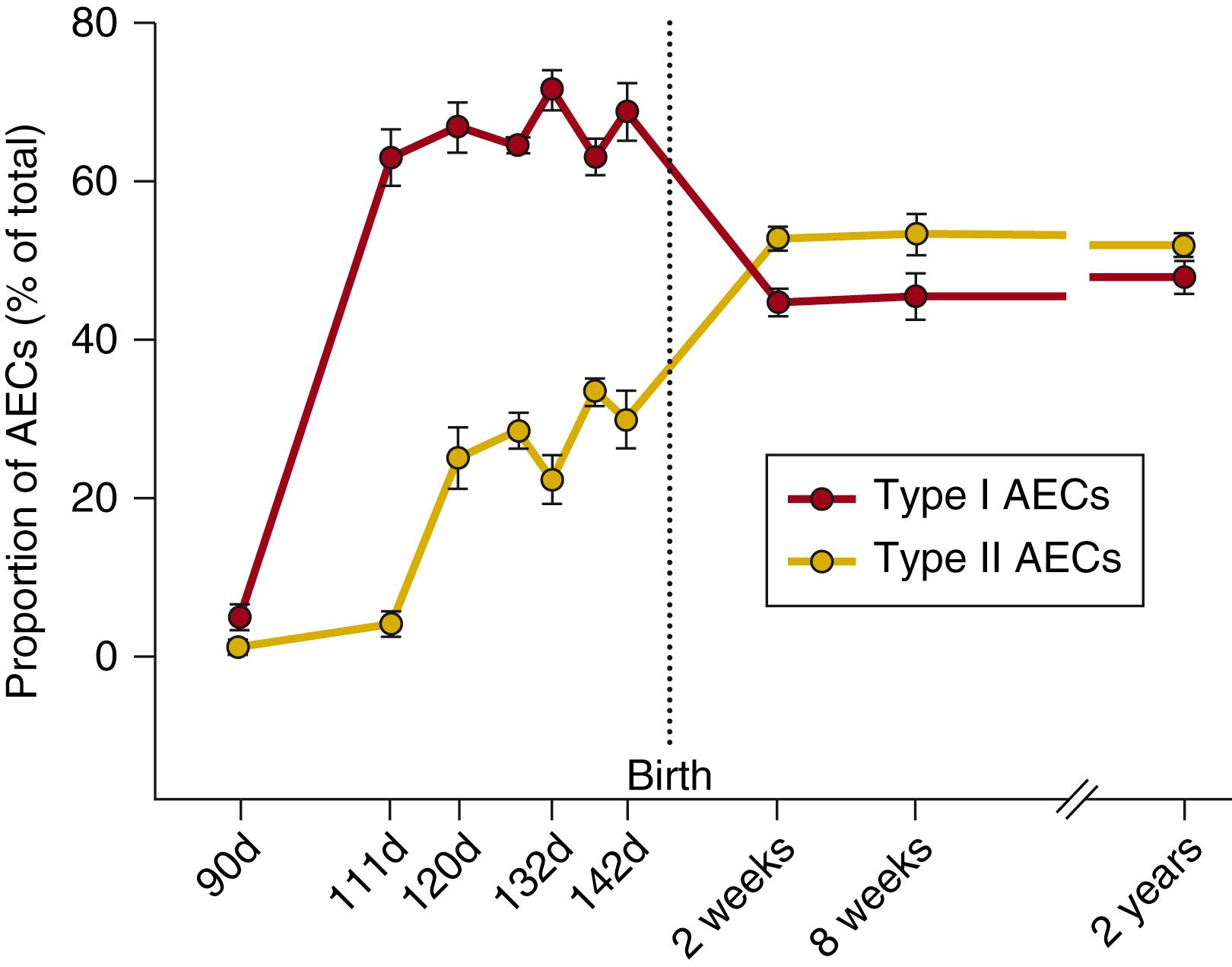 Fig. 57.5, Changes in alveolar epithelial cell proportions before and after birth. In fetal sheep, undifferentiated epithelial cells differentiate into type I (red circles) and type II (gold circles) alveolar epithelial cells (AECs) during the canalicular stage of lung development, between 90 and 120 days of gestational age (term is approximately 145 days). The type I AECs appear first, then remain stable until birth, accounting for 60% to 70% of all AECs. Type II AECs differentiate later, then remain stable until birth, accounting for approximately 30% of all AECs. After birth, the relative proportions of each AEC type reverse; the proportion of type I AECs decreases to approximately 45%, and the proportion of type II AECs increases to approximately 55% of all AECs. The change in AECs at birth is likely associated with the reduction in lung expansion, due to the loss of the distending influence of lung liquid and the development of an air-liquid interface. d , Days.