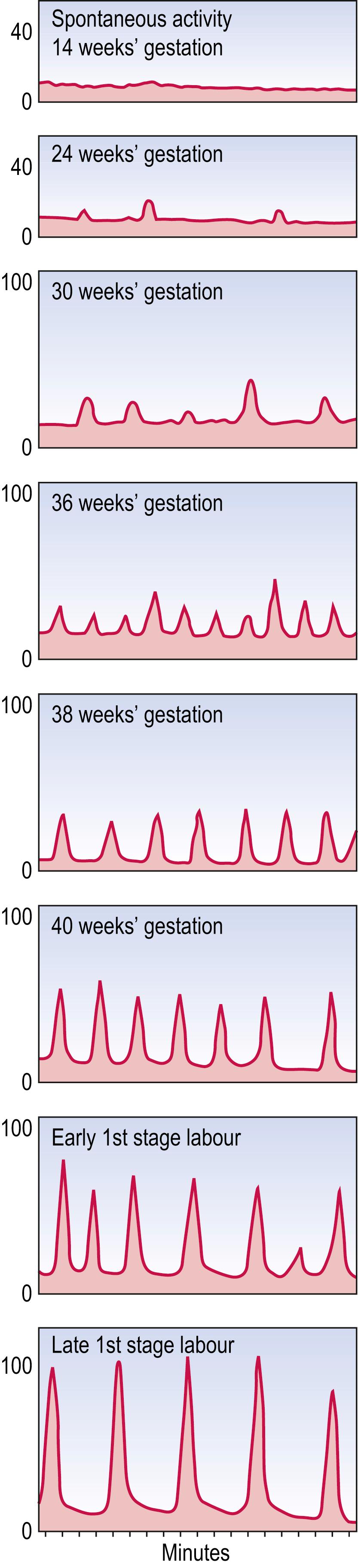 Fig. 3.5, The evolution of uterine activity during pregnancy.