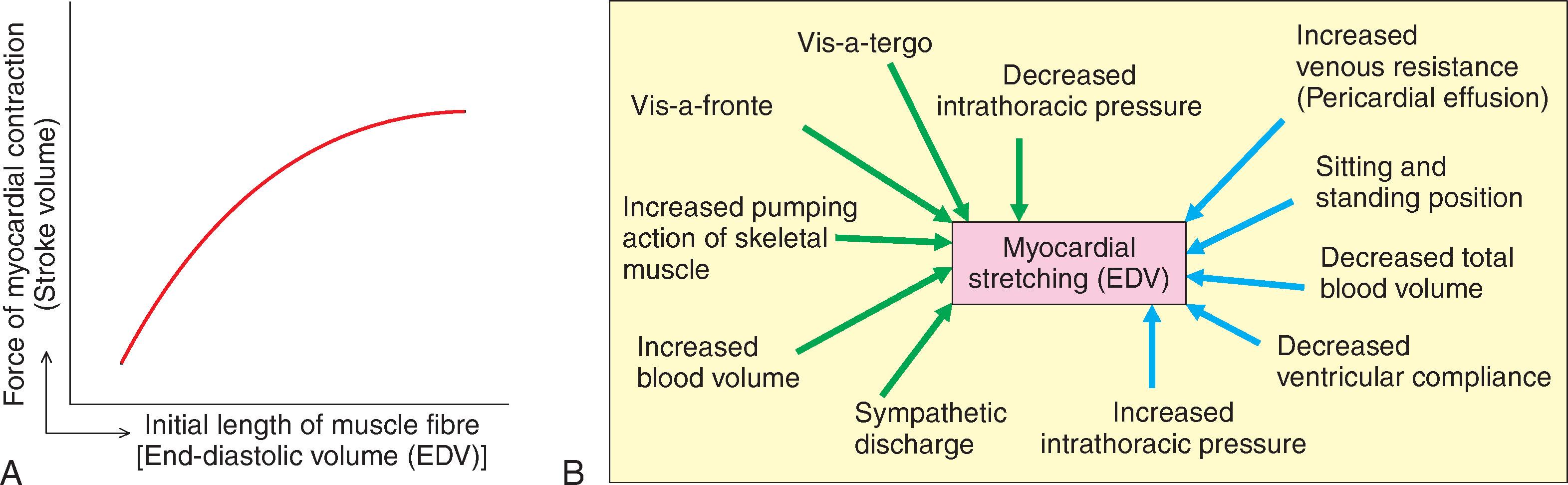 Fig. 10.8, Relation between ventricular end-diastolic volume (EDV) and ventricular performance (Frank–Starling curve), with a summary of the major factors affecting EDV.