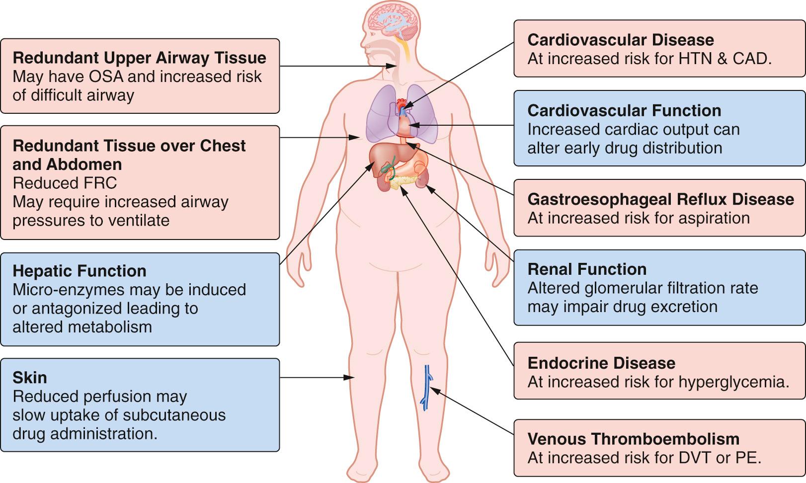 Fig. 5.1, Schematic summary of obesity-related physiologic changes that may alter anesthetic drug behavior (blue) and anesthetic considerations and perioperative challenges (red). CAD, Coronary artery disease; DVT, deep vein thrombosis; FRC, functional residual capacity; HTN, hypertension; OSA, obstructive sleep apnea; PE, pulmonary embolism
