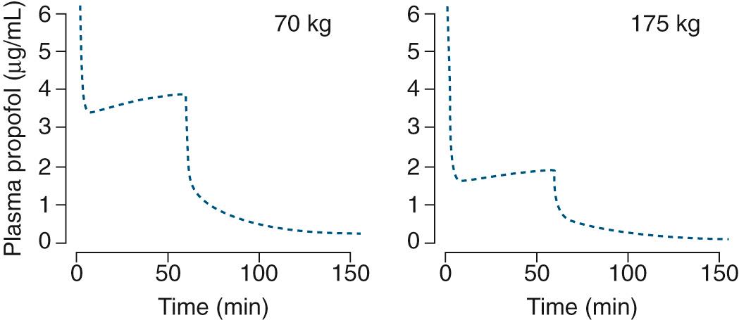 Fig. 5.3, Pharmacokinetic simulation of an identical propofol dose (150-mg bolus injection followed by a 10-mg/min infusion for 60 minutes) administered intravenously to a 70-kg and a 175-kg patient (both 50 years old, 170 cm tall). Note the lower plasma levels in the larger patient. The simulation is based on the pharmacokinetic model of Cortinez et al. 15