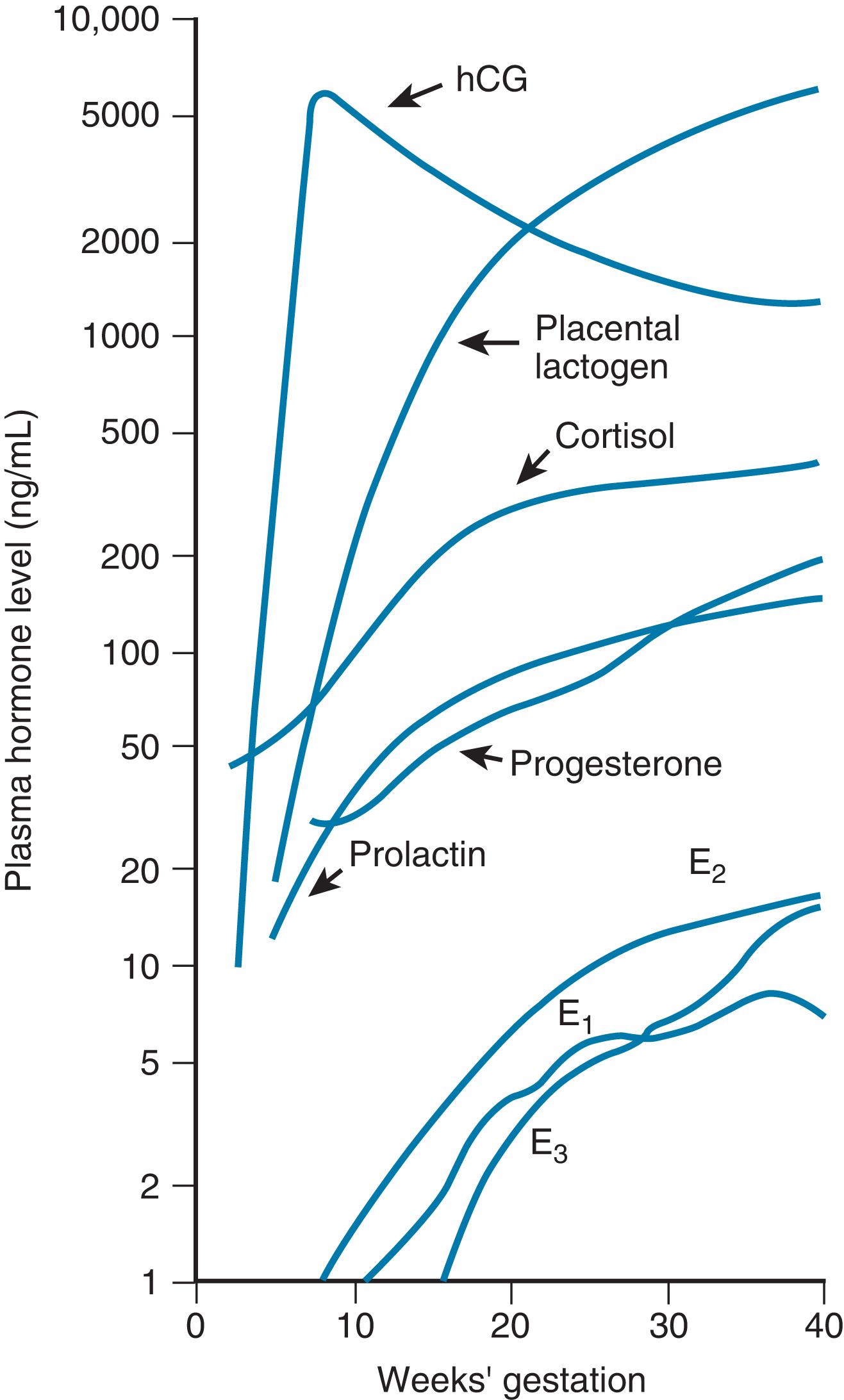 Fig. 3.4, Plasma hormone levels during pregnancy. E1 , Estrone; E2 , estradiol; E3 , estriol; hCG , human chorionic gonadotropin.