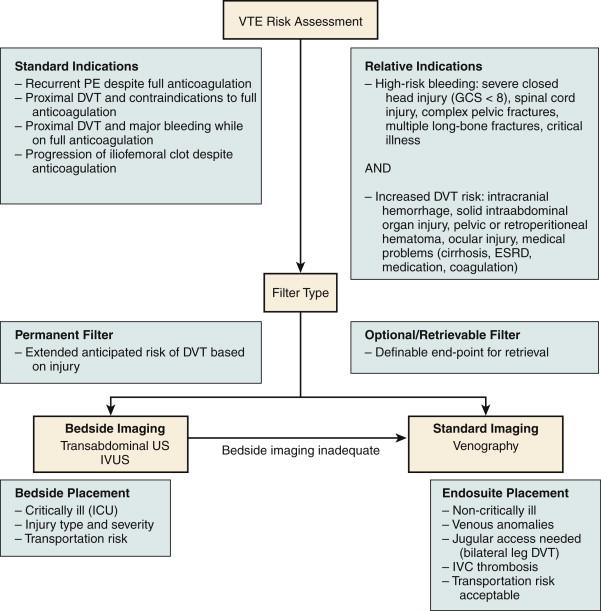 Figure 54-2, Clinical decision algorithm for vena cava filter placement options. DVT, Deep vein thrombosis; ESRD, end-stage renal disease; GCS, Glasgow Coma Scale; ICU, intensive care unit; IVC, inferior vena cava; IVUS, intravascular ultrasound; PE, pulmonary embolism; US, ultrasound; VTE, venous thromboembolism.