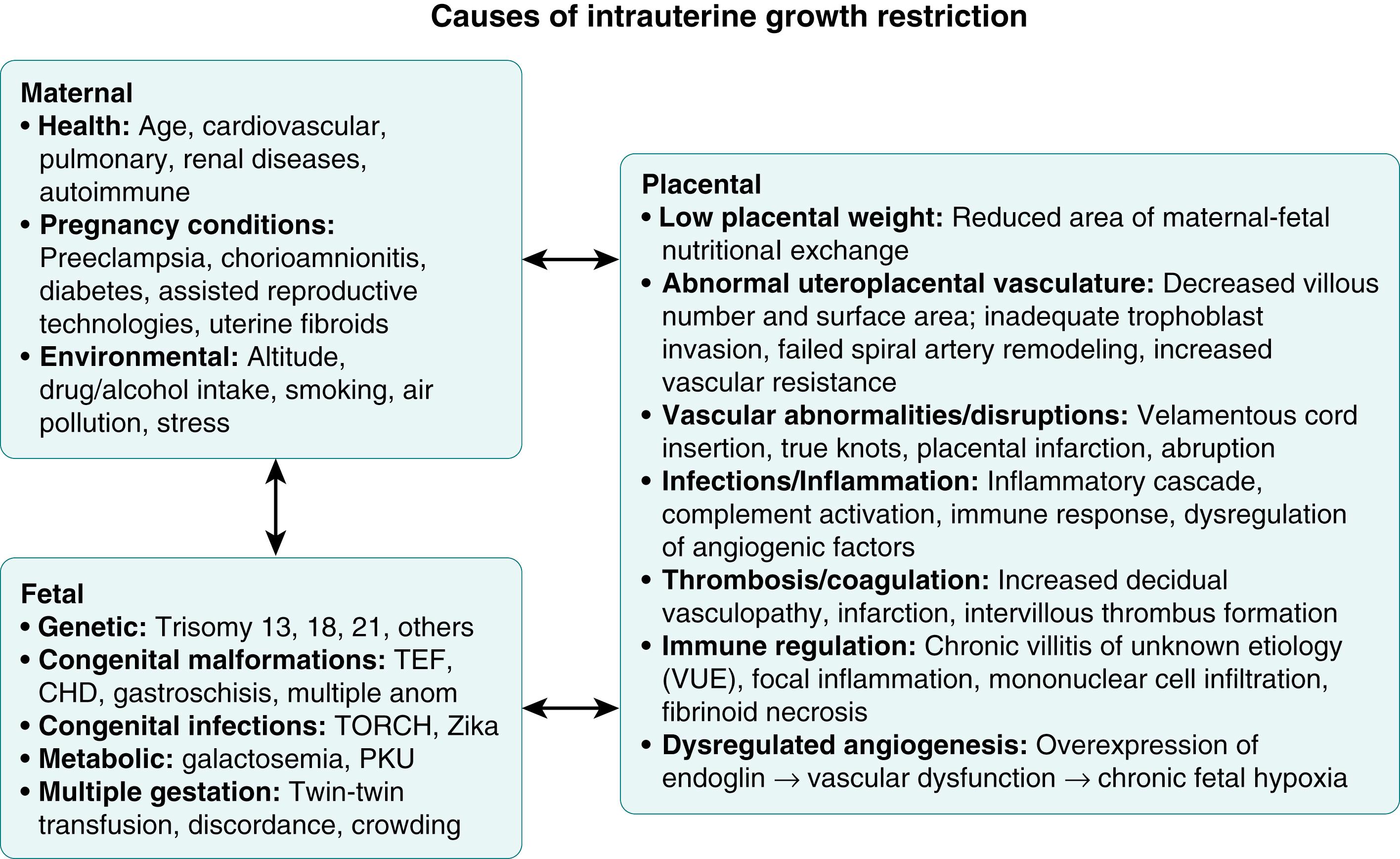 Fig. 14.1, Multifactorial causes of intrauterine growth restriction (IUGR). A large majority of IUGR cases are thought to be due to processes of placental insufficiency, but maternal and fetal diseases may also serve as primary or interactive processes contributing to placental dysfunction. CHD, Congenital heart disease; PKU, phenylketonuria; TEF, tracheoesophageal fistula; TORCH, toxoplasmosis, other, rubella, cytomegalovirus, and herpes infections.