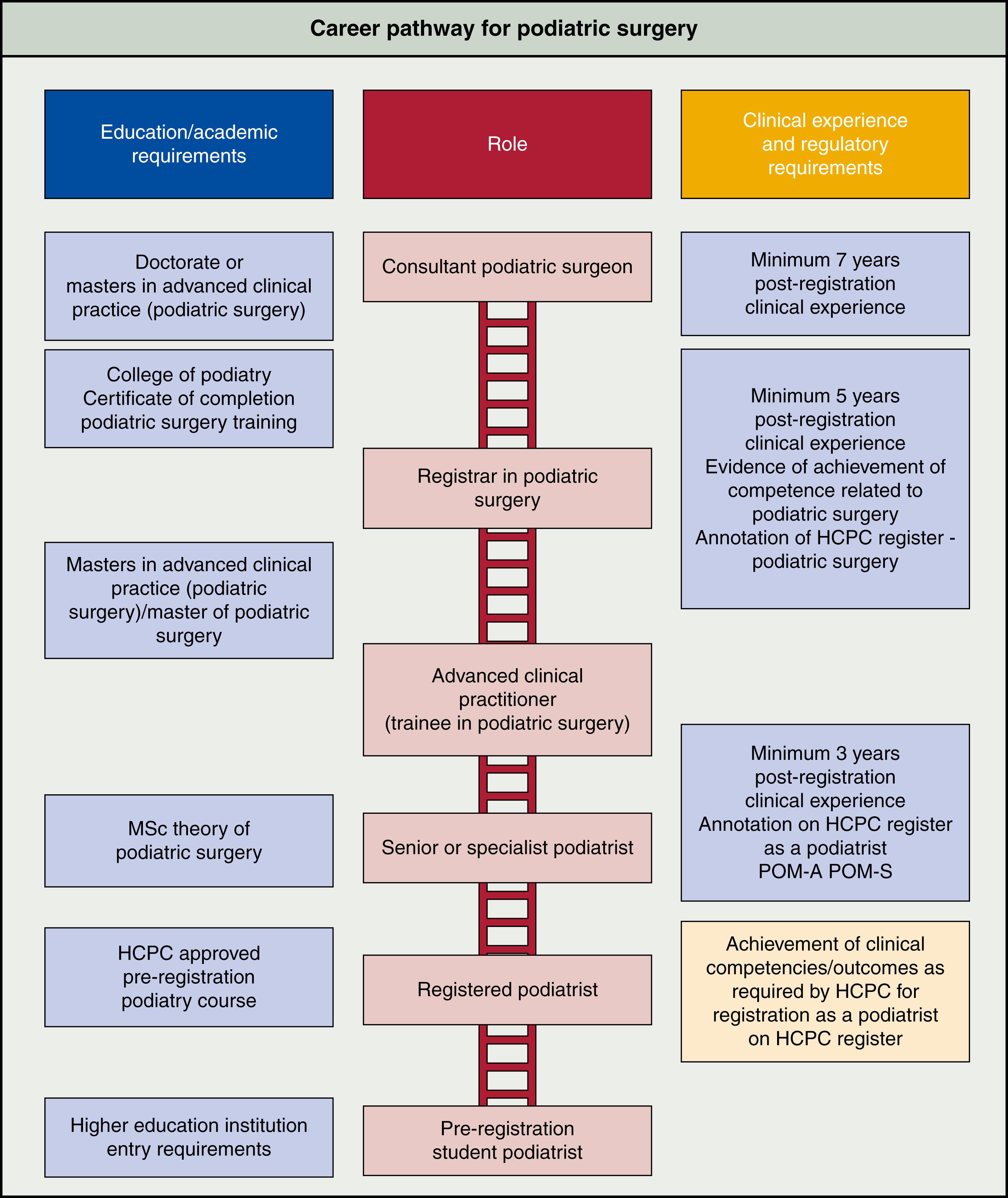 Figure 119.2, The Education and Training Pathway Leading to Practice for Podiatrists in the United Kingdom.