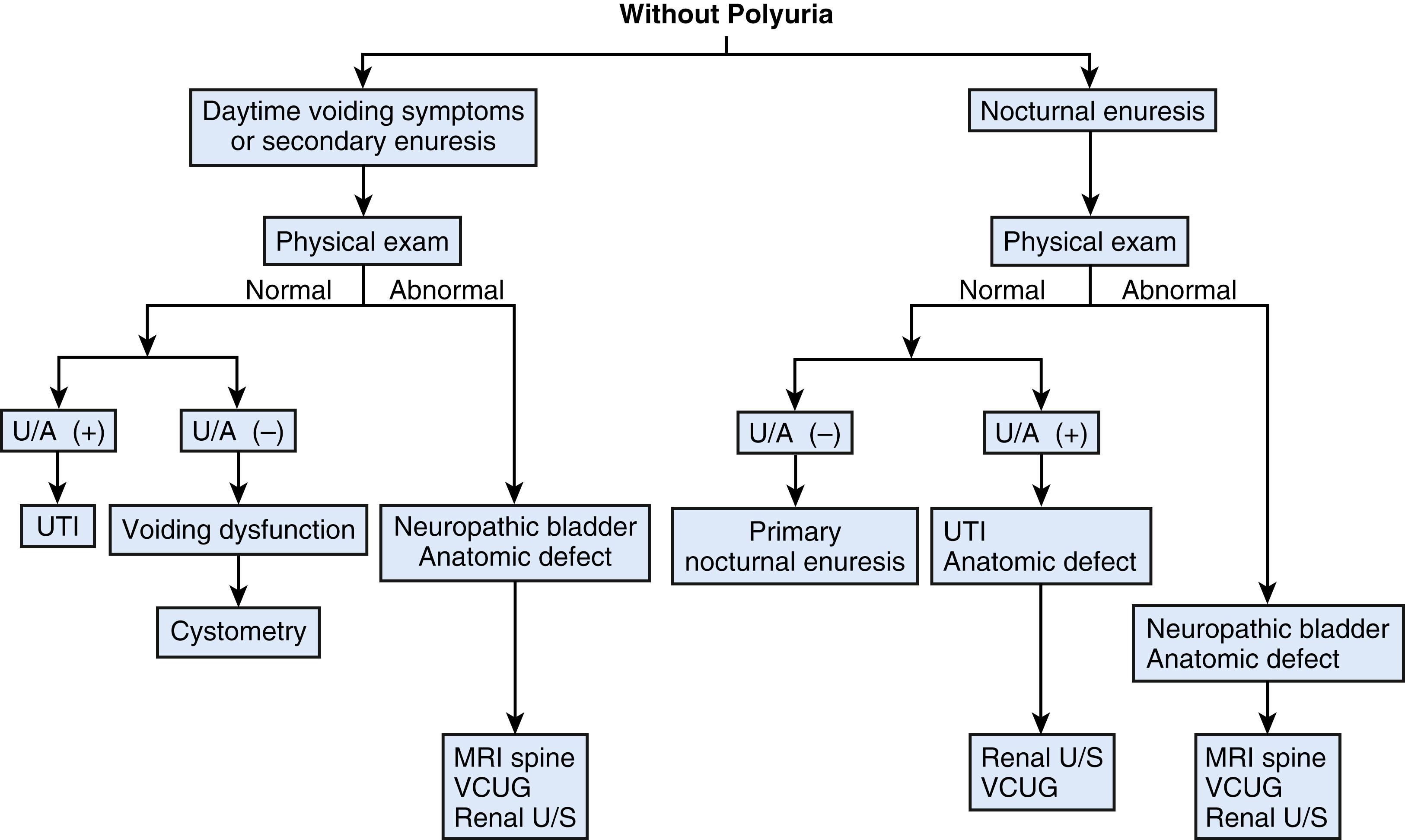 Fig. 58.1, Diagnosis of enuresis without polyuria. U/S, ultrasonography; UTI, urinary tract infection; VCUG, voiding cystourethrogram; +, positive; −, negative.