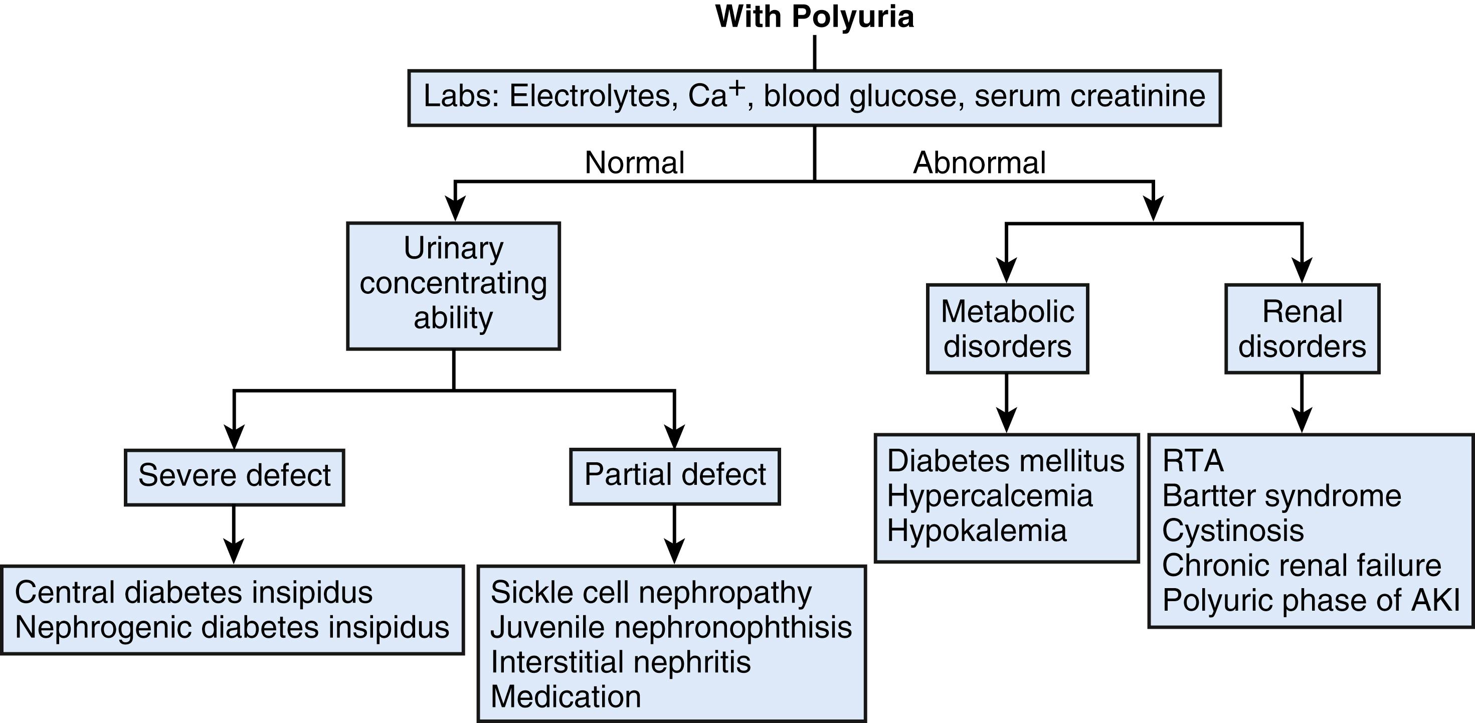 Fig. 58.2, Diagnosis of enuresis with polyuria. AKI, acute kidney injury; RTA, renal tubular acidosis.