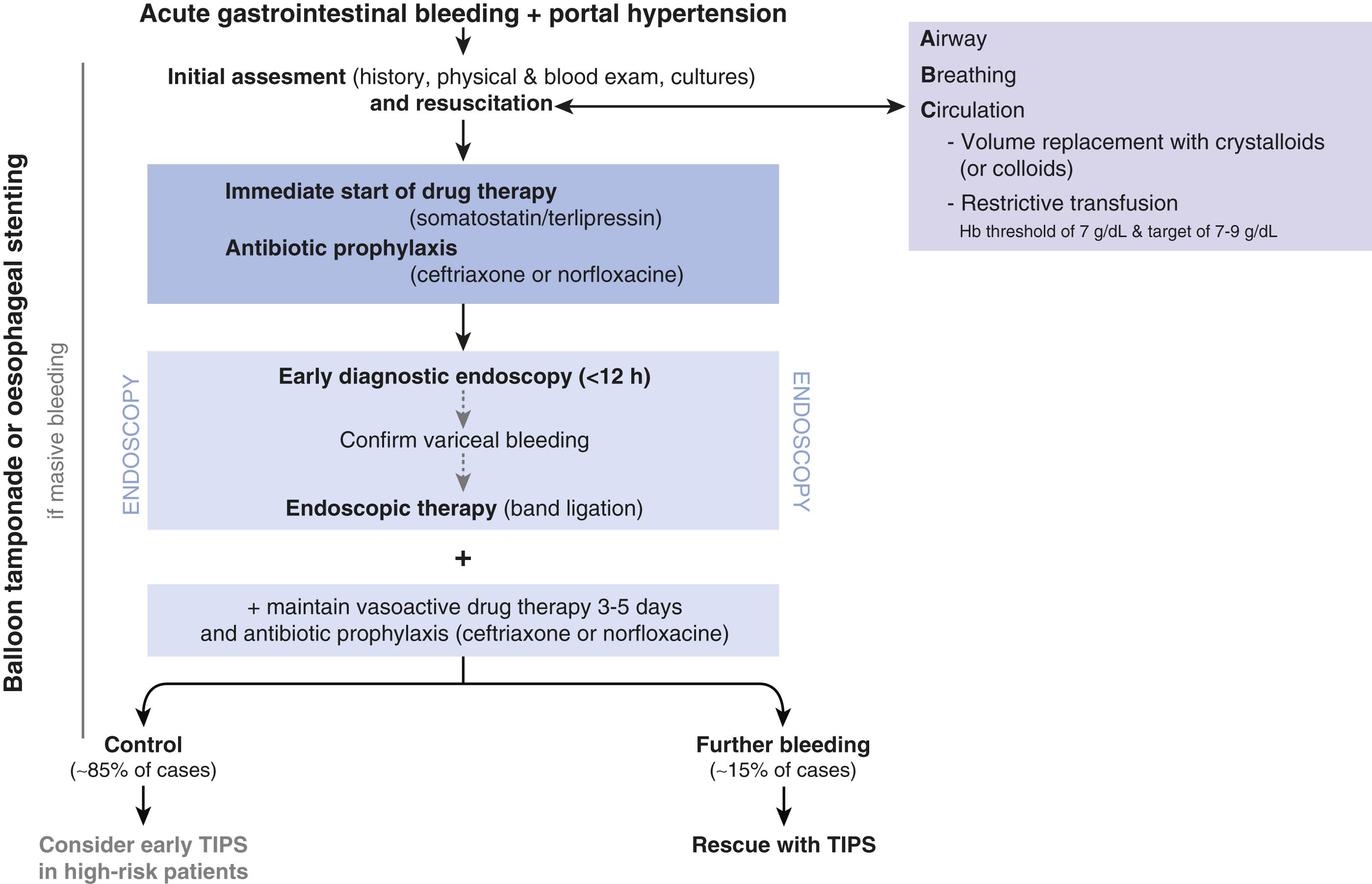 Figure 9.3, Algorithm for management of acute gastrointestinal bleeding in patients with cirrhosis. TIPS, transjugular portosystemic shunt.