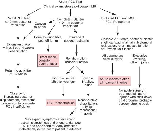 FIG 16-16, Treatment algorithm for acute posterior cruciate ligament (PCL) ruptures.