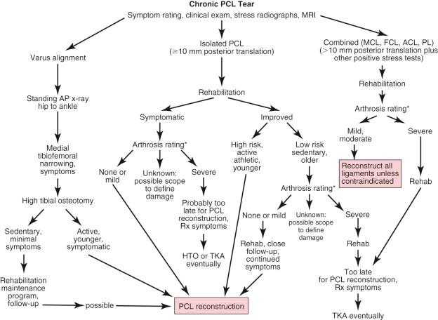 FIG 16-17, Treatment algorithm for chronic posterior cruciate ligament (PCL) ruptures. *Arthrosis rating: standing 45 degrees tibiofemoral and patellofemoral views or magnetic resonance imaging special cartilage sequences. ACL , Anterior cruciate ligament; AP , anteroposterior; FCL , fibular collateral ligament; HTO , high tibial osteotomy; MCL , medial collateral ligament; PL , posterolateral; TKA, total knee arthroplasty.