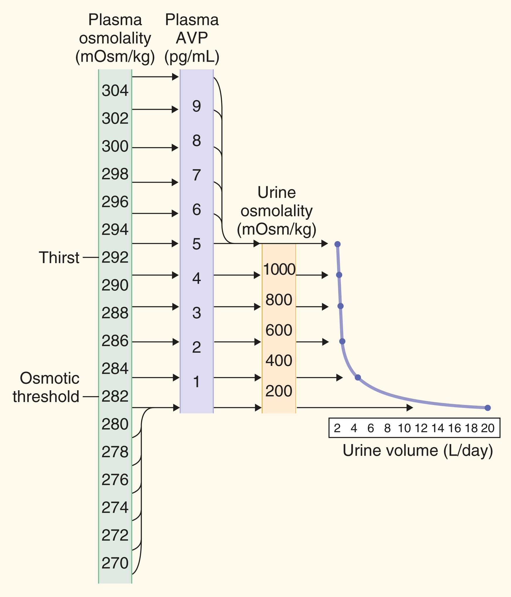 E-FIGURE 206-1, Idealized schematic of the normal physiologic relationships among plasma osmolality, plasma vasopressin (AVP), urine osmolality, and urine volume.