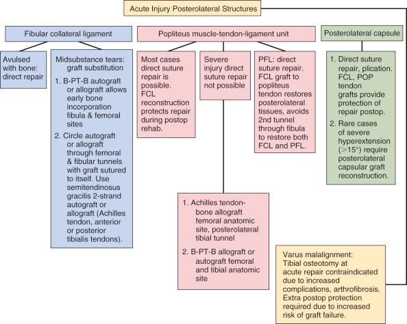 FIG 17-3, Algorithm for treatment of acute injuries to the posterolateral structures. B-PT-B , Bone-patellar tendon-bone; FCL , fibular collateral ligament; PFL , popliteofibular ligament; POP , popliteus.