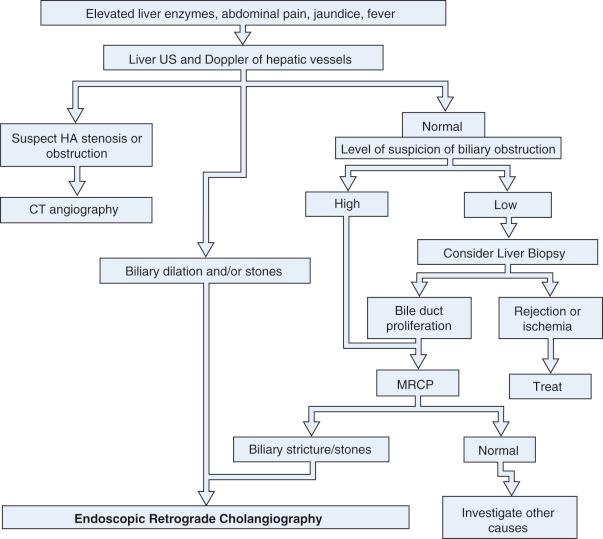 FIG 54.2, An algorithm depicting the diagnostic approach for patients with suspected biliary anastomotic strictures.