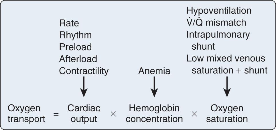 Fig. 30.1, Important factors that contribute to abnormal oxygen transport. V̇/Q̇, Ventilation/perfusion.