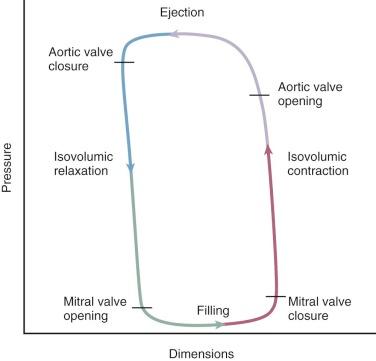 Figure 5-7, Diagrammatic representation of a pressure-dimension relationship of the left ventricle, on which events of the cardiac cycle have been indicated.