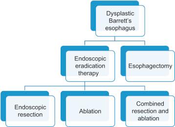 Figure 15.1, Options in the management of dysplastic Barrett’s esophagus. These options need to be discussed in detail with the patient and a long-term commitment to therapy and surveillance is established in conjunction with aggressive proton pump inhibition therapy or antireflux surgery to control gastroesophageal acid reflux disease.