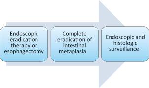 Figure 15.2, Key steps in the management of dysplastic Barrett’s esophagus. After endoscopic or surgical therapy, confirmation of complete eradication of intestinal metaplasia (CEIM) is essential prior to embarking in long-term surveillance. If CEIM is not achieved, further endoscopic eradication is required.