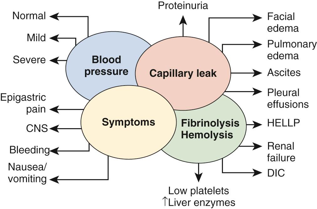 Fig. 38.2, Maternal Manifestations in Preeclampsia.