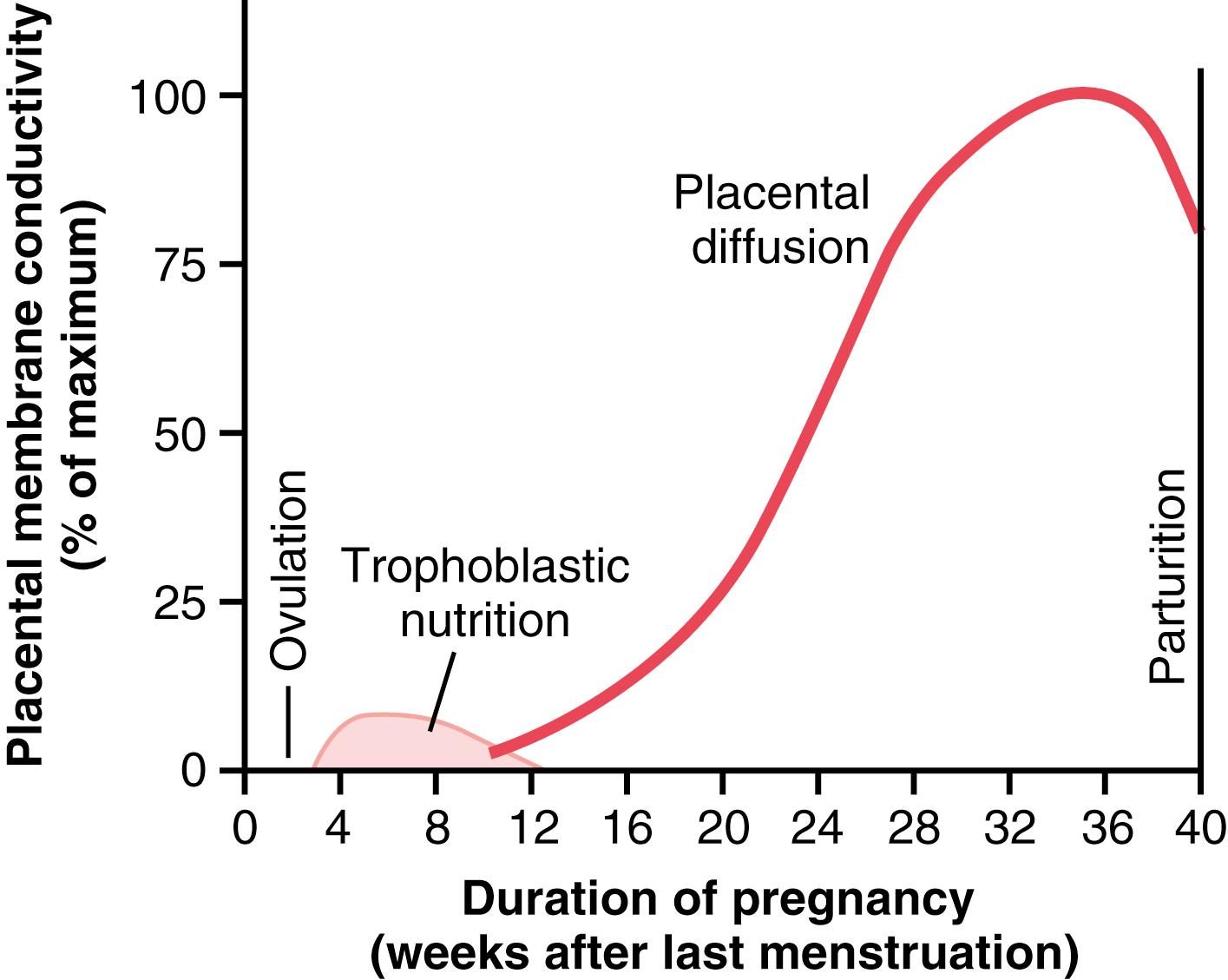 Figure 83-4., Nutrition of the fetus. Most of the early nutrition is due to trophoblastic digestion and absorption of nutrients from the endometrial decidua, and essentially all the later nutrition results from diffusion through the placental membrane.