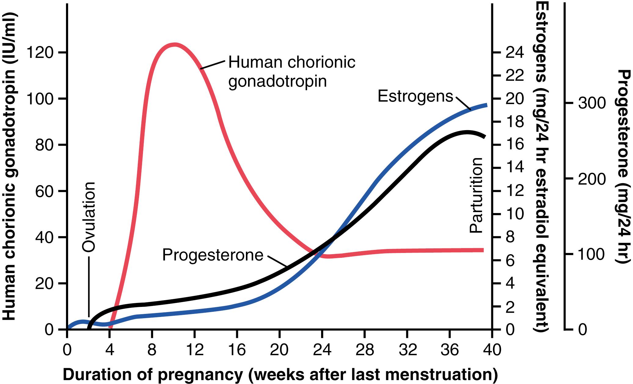 Figure 83-7., Rates of secretion of estrogens (blue curve) and progesterone (black curve) and concentration of human chorionic gonadotropin (red curve) at different stages of pregnancy.