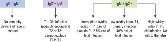 FIGURE 6-1, Interpretation of cytomegalovirus serology in the three trimesters of pregnancy. T1,T2,T3: first trimester, second trimester, third trimester PI: primary infection.