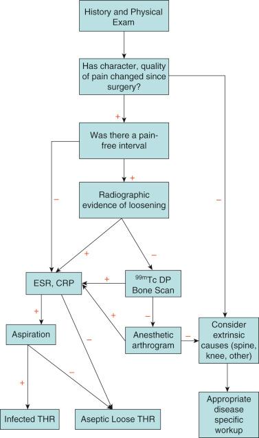 Fig. 89.1, Algorithm to evaluate painful total hip arthroplasty. CRP, C-reactive protein; ESR, erythrocyte sedimentation rate; 99mTc DP, Technetium-99 methylene diphosphonate; THR, total hip replacement.