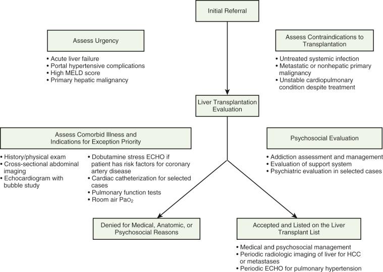 Fig. 50-2, Comprehensive liver transplant evaluation algorithm.