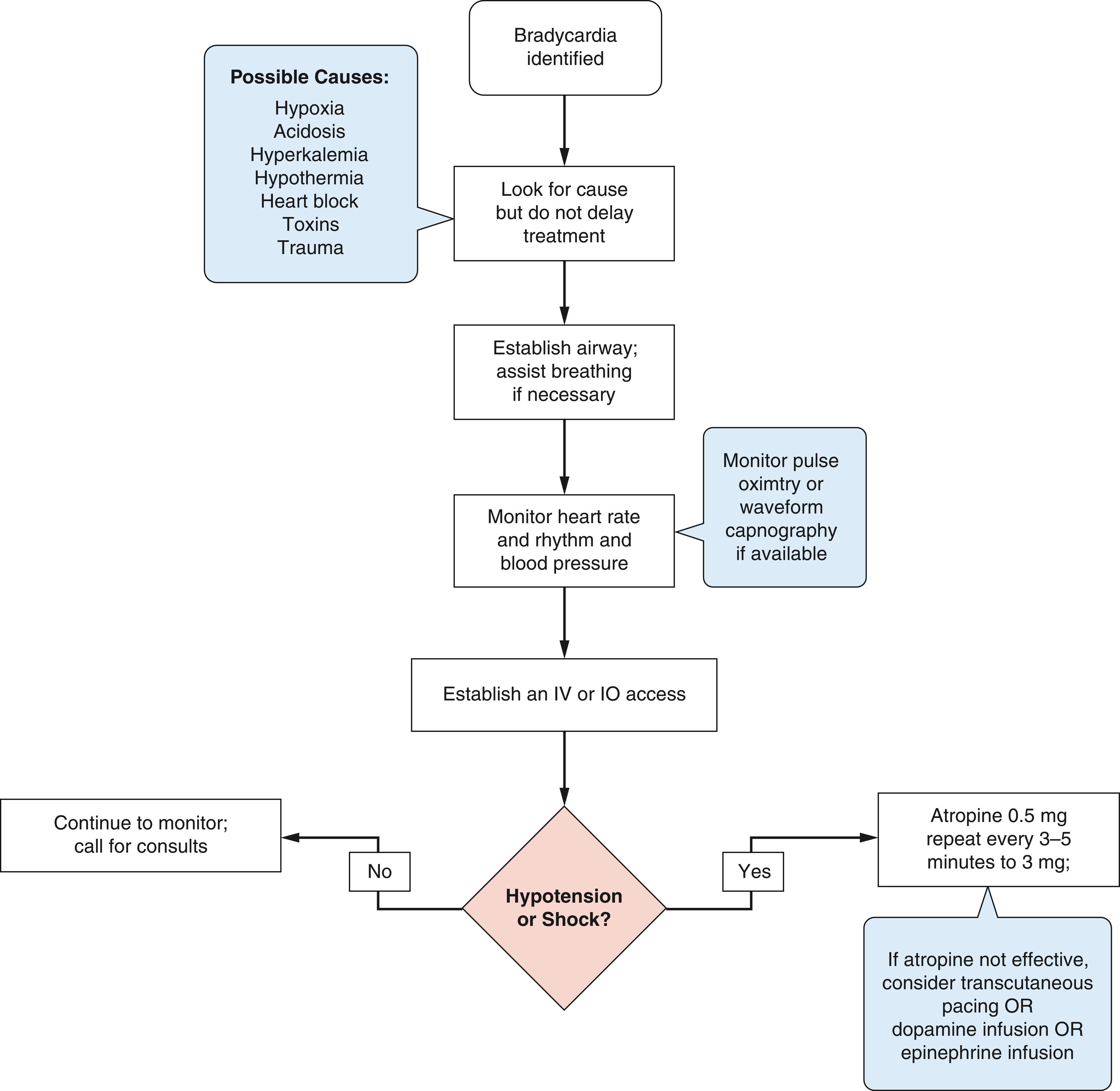 Fig. 15.2, Advanced Cardiac Life Support algorithm for bradycardia.