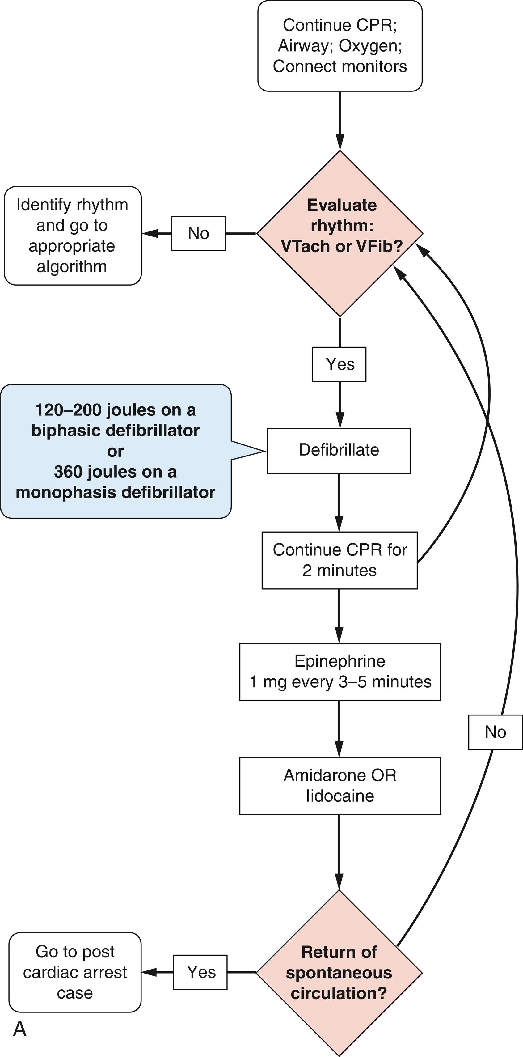 Fig. 15.3, (A) Advanced Cardiac Life Support algorithm for cardiac arrest. (B) Advanced Cardiac Life Support algorithm for pulseless electrical activity and asystole.