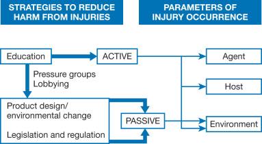 Fig. 4.1, Strategies to reduce harm from injury.